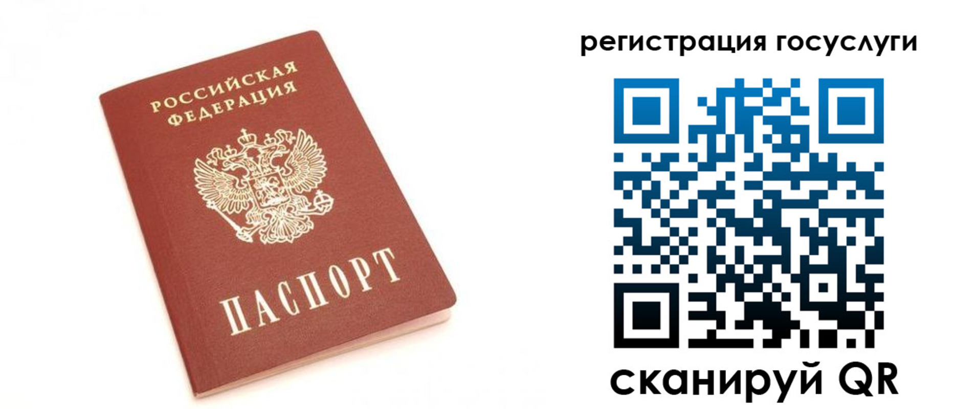 прописка для школы в Липецкая области